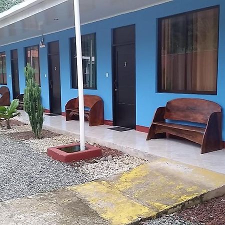 Cabinas Hukats Secret Jungle Puerto Viejo de Talamanca المظهر الخارجي الصورة