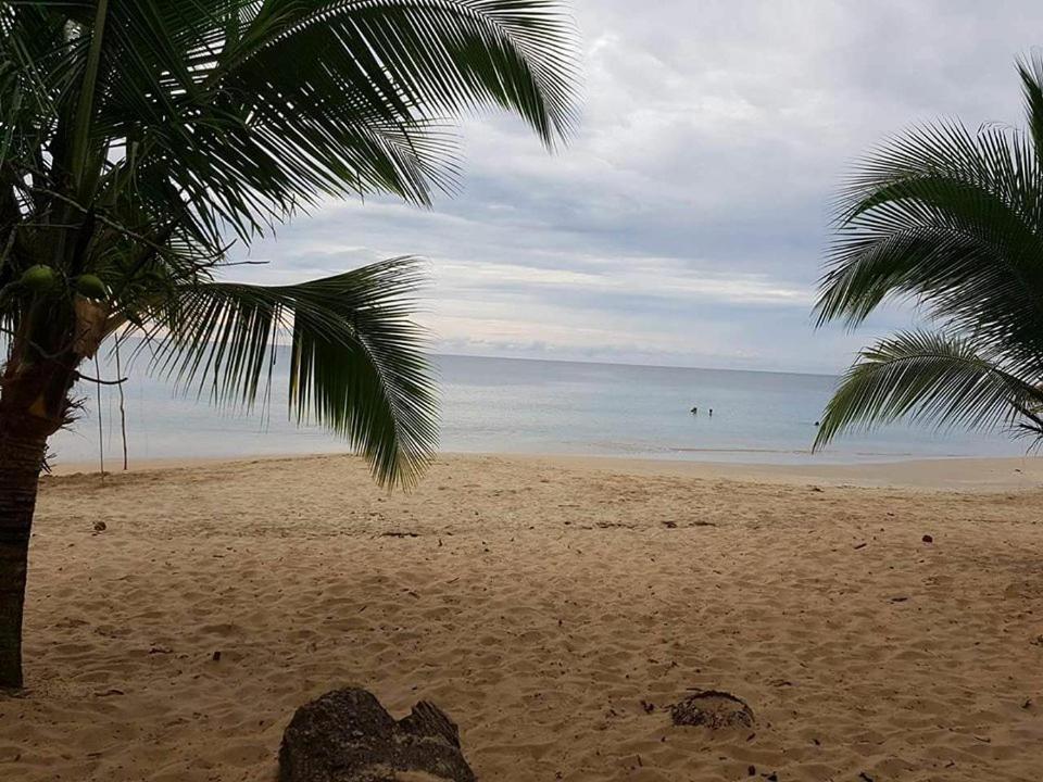 Cabinas Hukats Secret Jungle Puerto Viejo de Talamanca المظهر الخارجي الصورة
